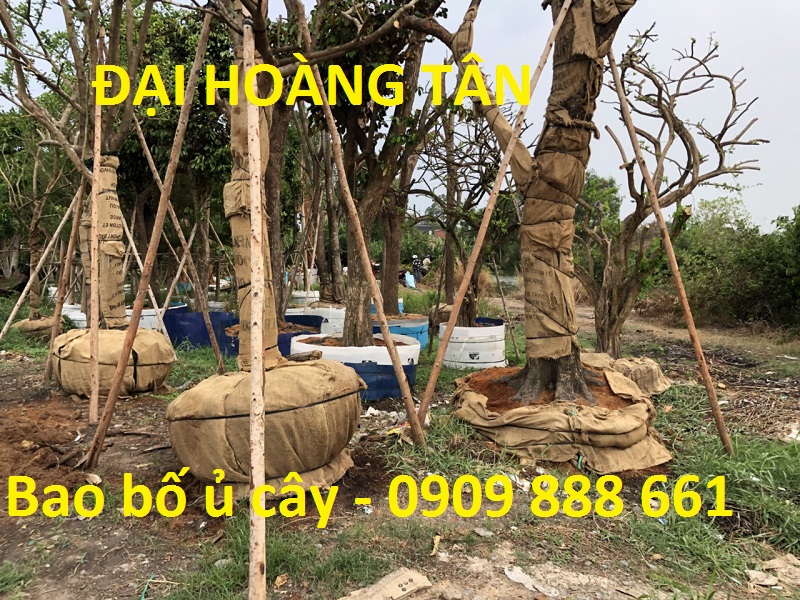 bao bố ủ cây 4 bao bố ủ cây